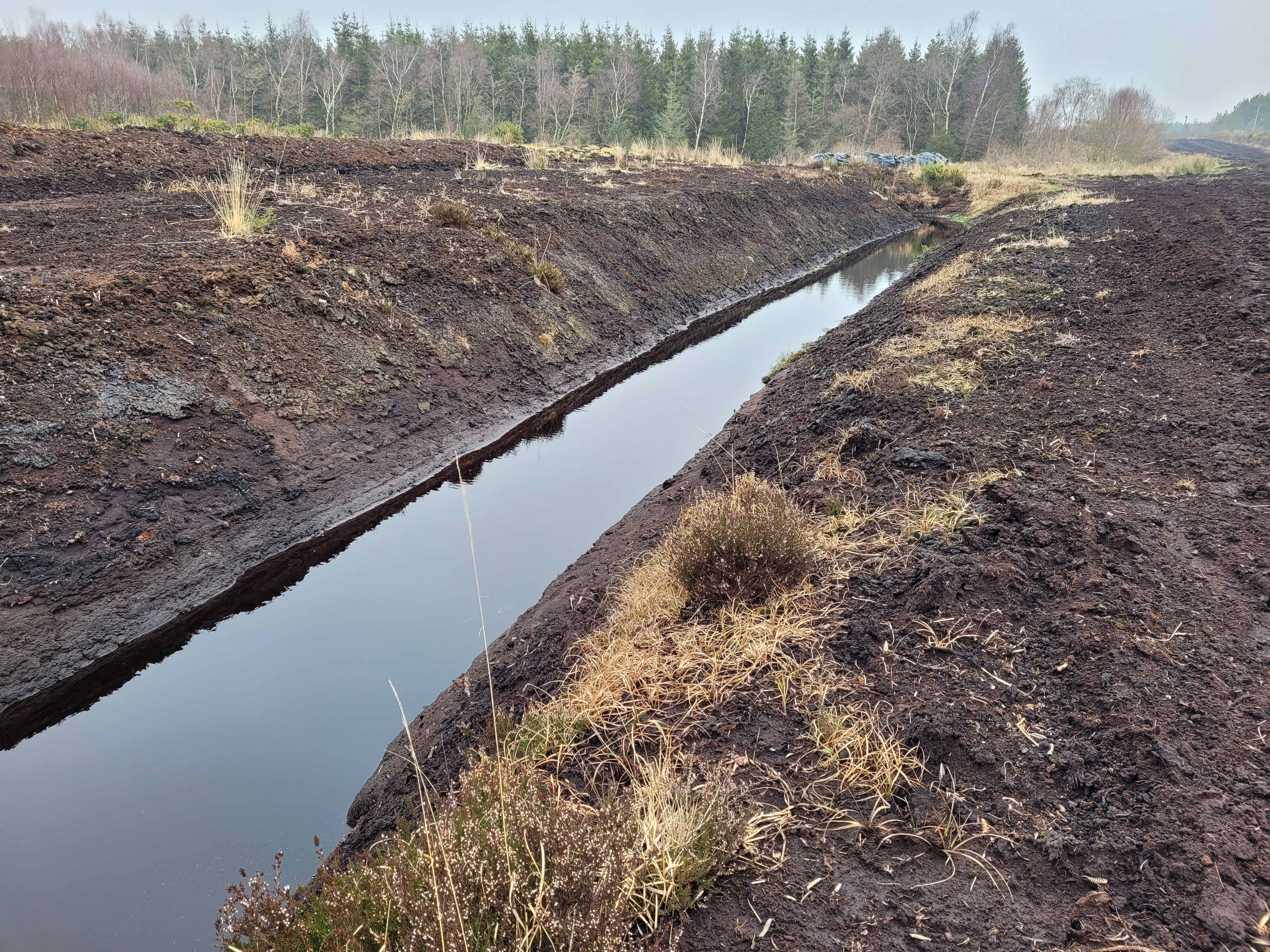 EPA-funded project to investigate the pressures on Irish waters from drained peatlands and develop mitigation measures
